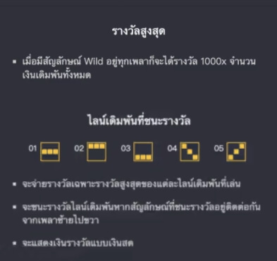 รูปแบบของโบนัสพิเศษจาก SLOT PG หนูทองนำโชค